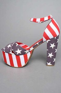 Patriotic Platforms Image 5
