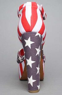 Patriotic Platforms Image 6