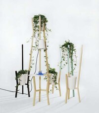 Modern Plant Trellises Image 2