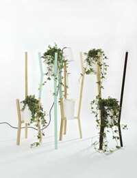 Modern Plant Trellises Image 3