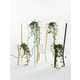 Modern Plant Trellises Image 3