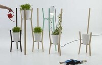 Modern Plant Trellises Image 4