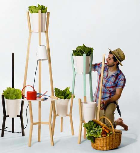 Modern Plant Trellises Image 7