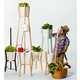 Modern Plant Trellises Image 7