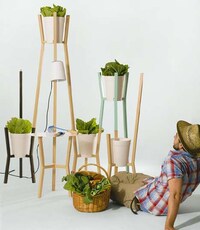 Modern Plant Trellises Image 8