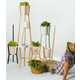 Modern Plant Trellises Image 8