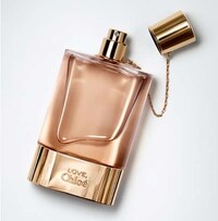 Chain-Embellished Branding Image 4