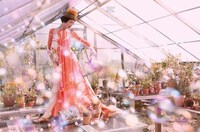 Whimsical Fairytale Photography Image 3