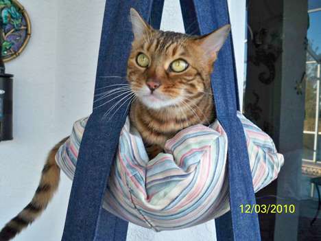 Flying Feline Furniture