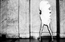 Feather-Concealing Photography