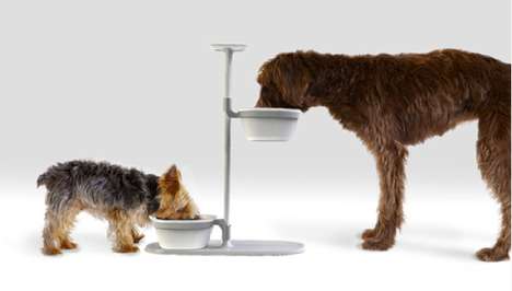Elevated Dog Dishes