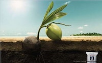 Humongous Harvest Marketing Image 2