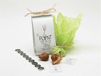 Home-Sewn Seedling Branding Image 2