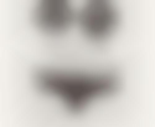 Gaga Panty Portraits