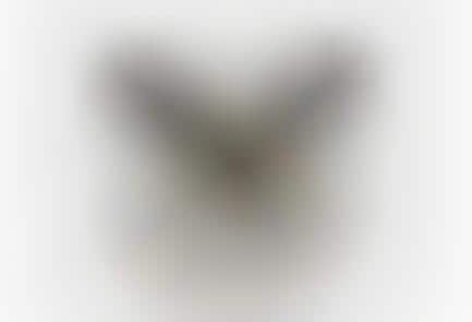 Beaming Bear Teacups