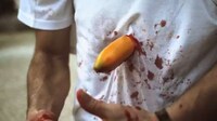 Gory Fruit Movie Parodies Image 2