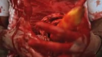 Gory Fruit Movie Parodies Image 5