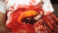 Gory Fruit Movie Parodies Image 6