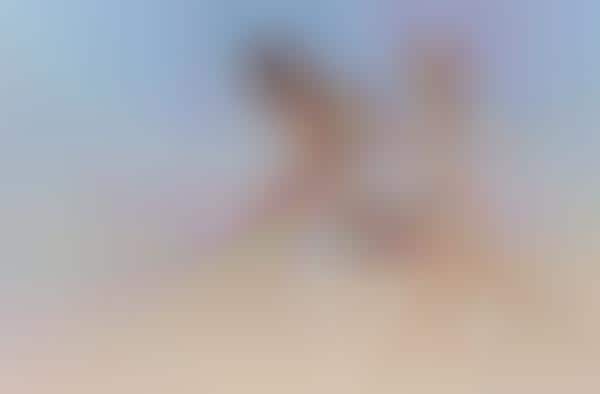 Galloping Beach Galleries