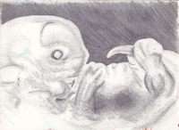 Embyronic Conception Art Image 2