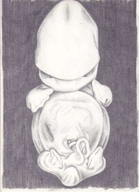 Embyronic Conception Art Image 3