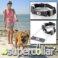 Always-On Dog Leashes