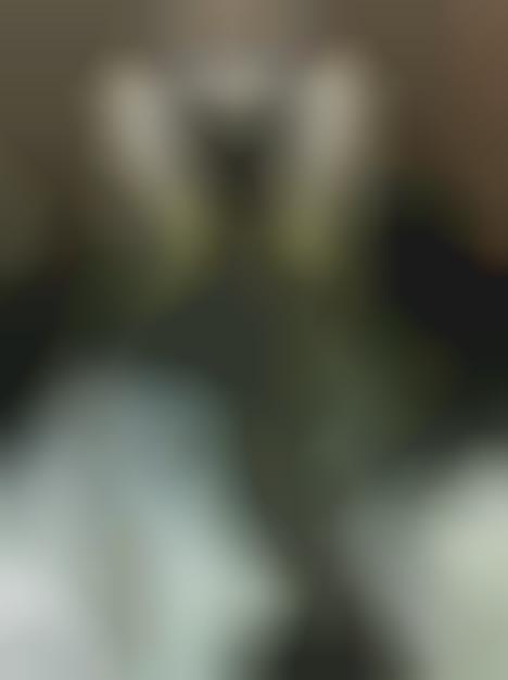 Intricate Cutout Sculptures