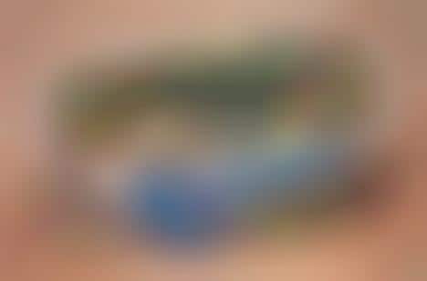 Moldy Employee Meals