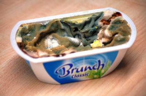 Moldy Employee Meals