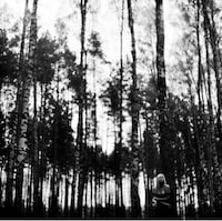 Lonesome Lake Captures Image 4