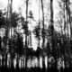 Lonesome Lake Captures Image 4