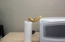 Silly Edible Still Lifes