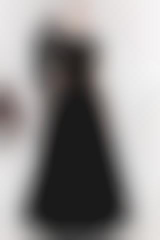 Triumphant Designer Returns