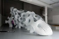 Porous Coral Sculptures Image 6