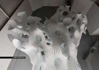 Porous Coral Sculptures Image 8