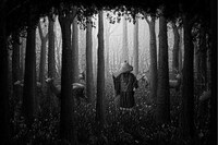 Jungle Journey Captures Image 2