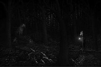 Jungle Journey Captures Image 5