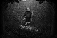 Jungle Journey Captures Image 6
