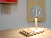 Compartmented Light Trays Image 3