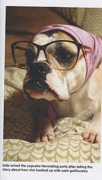 Stereotype Dog Guides Image 2