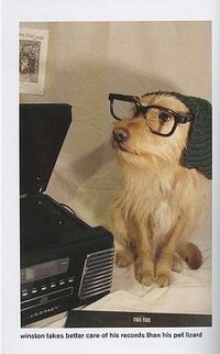 Stereotype Dog Guides Image 3