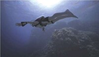Paraplegic Scuba Suits Image 8