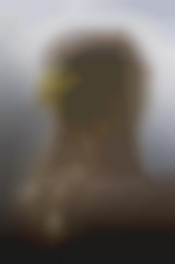 Regal Avian Photography