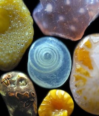 Magnificently Captured Beaches Image 4