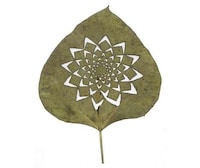 Cutaway Leaf Art Image 5