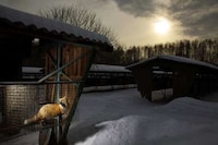 Housebroken Beasts Image 4