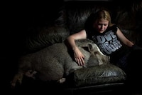 Housebroken Beasts Image 7
