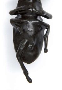 Beetle Breastpins Image 5