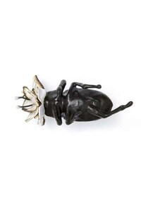 Beetle Breastpins Image 6