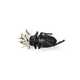 Beetle Breastpins Image 6